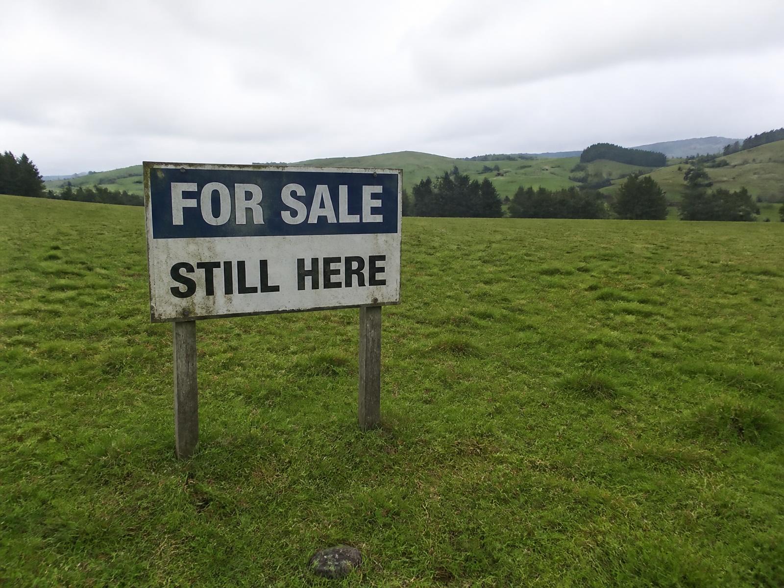 "FOR SALE / STILL HERE" sign staked in an empty paddock